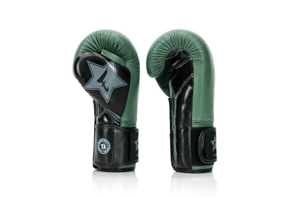 Gants de boxe Fairtex x Booster BG V2 – Vert / Noir